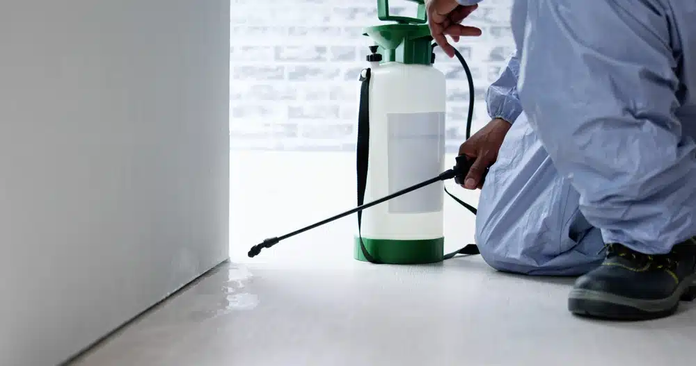 contractors for pest control