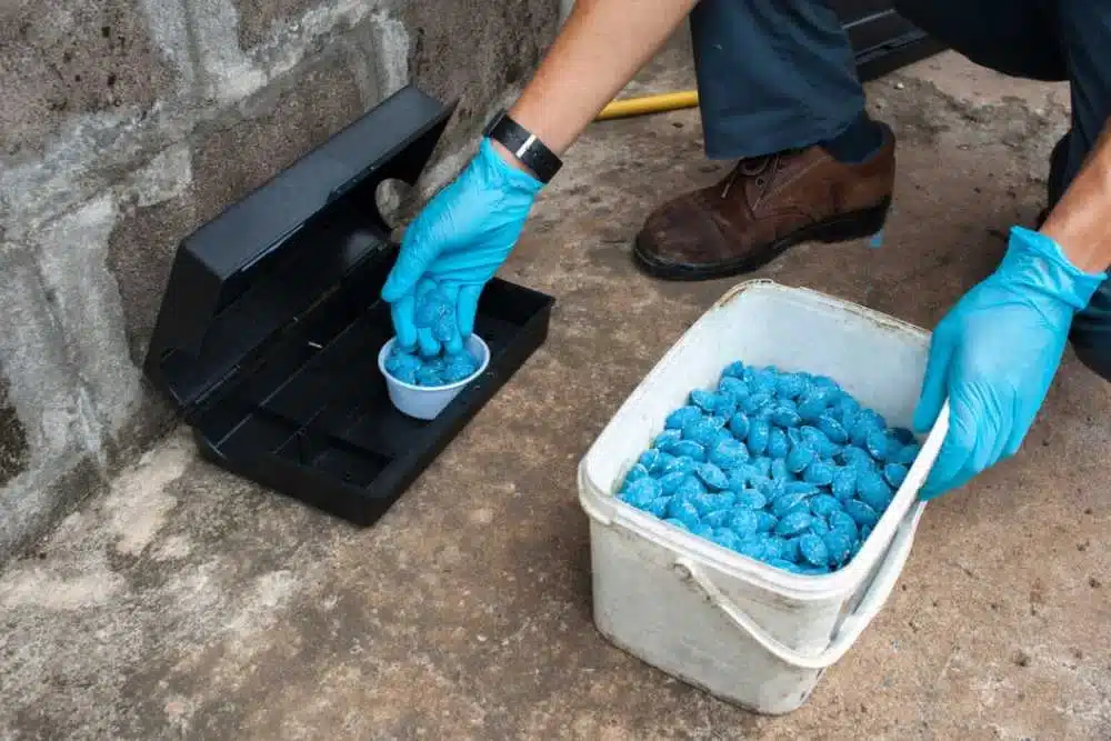 local contractors for rodent removal