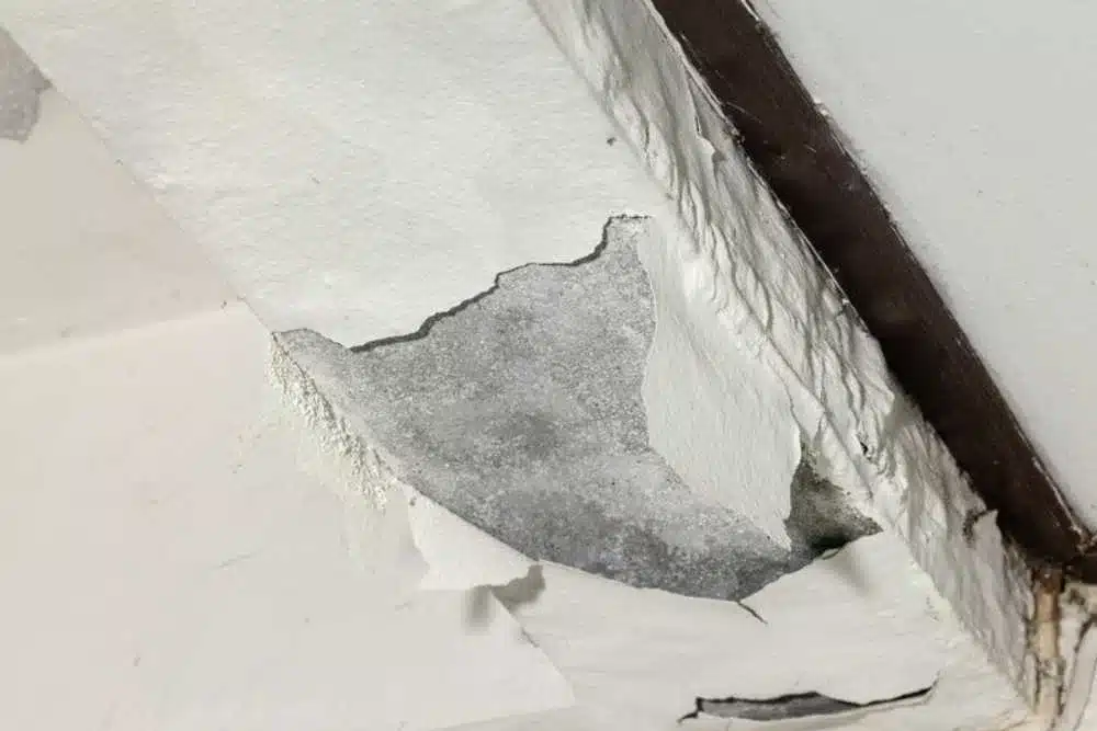 contractor for restoration services from water damage