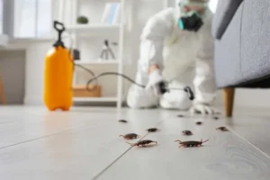 spraying for cockroaches