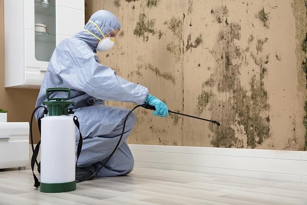 Mold Remediation of Orlando