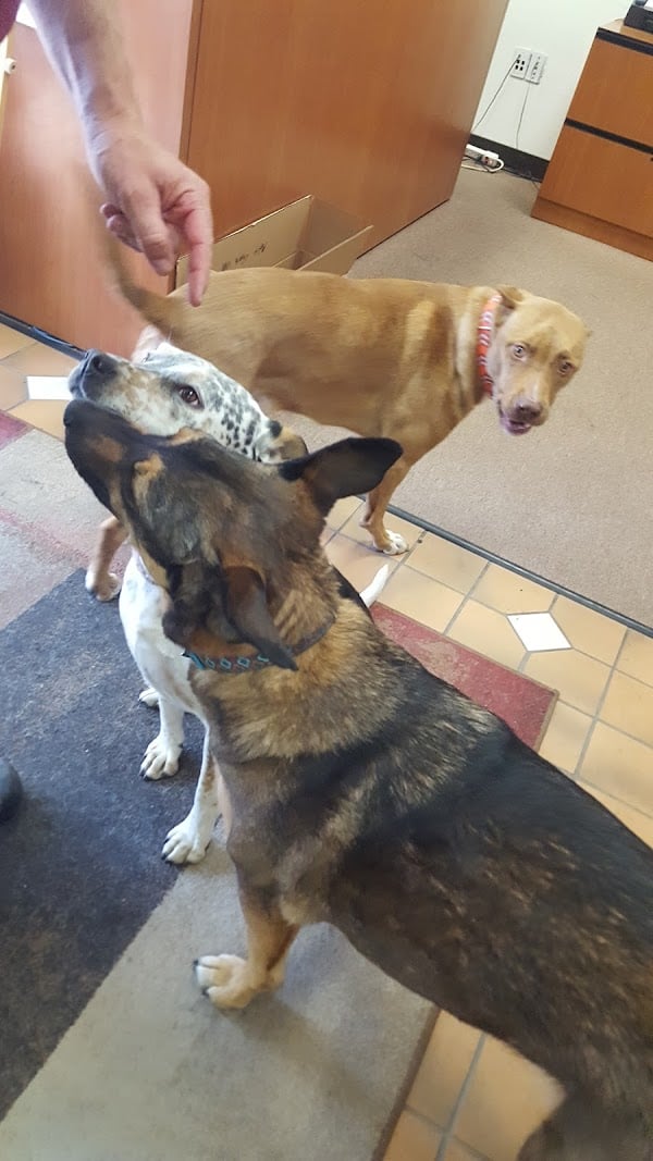 Photo of Mechanical Systems Inc.