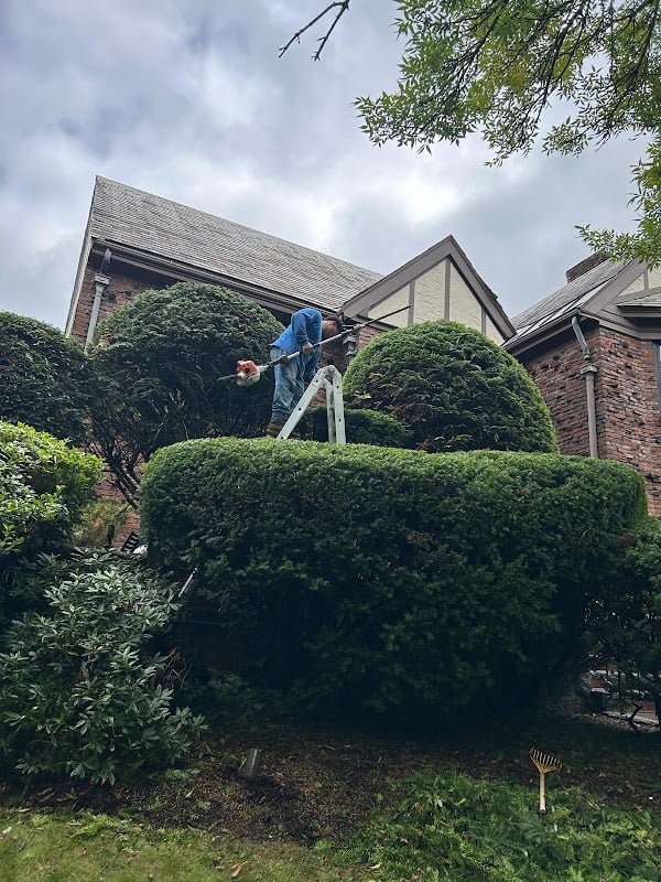 Photo of VIP Landscaping & Remodeling,Corporation